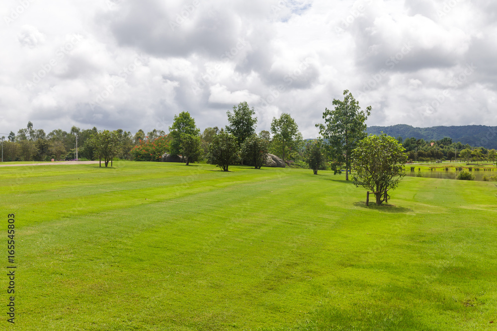Fototapeta premium Landscape of Green lawn in a beautiful garden