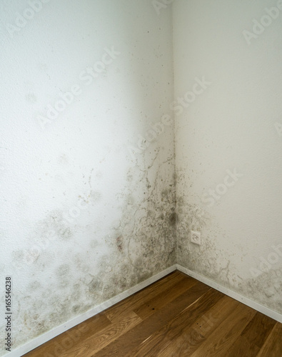 Foto mildew and mold on an apartment wall