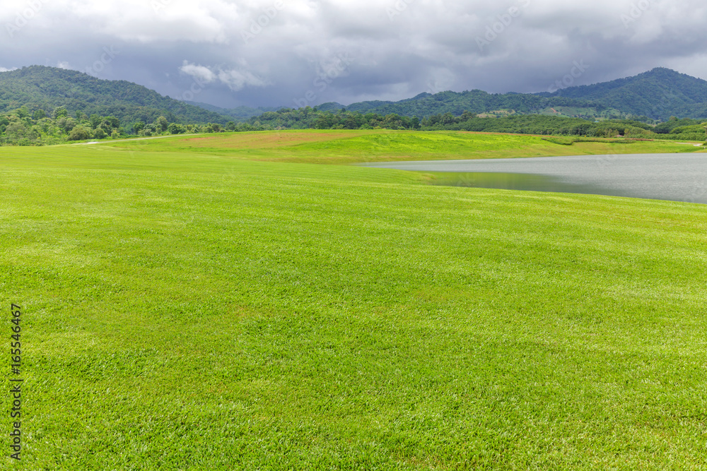 Fototapeta premium Landscape of Green lawn in a beautiful garden