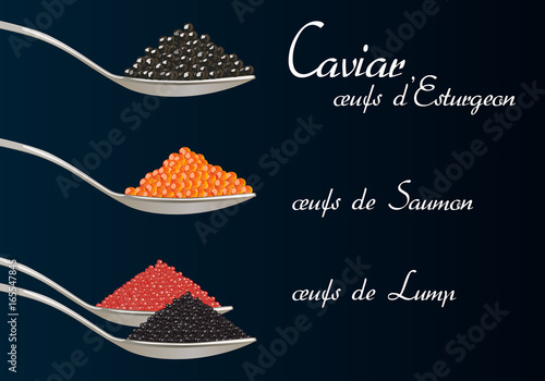 caviar - œufs de poisson - œufs de saumon - gastronomie - poisson