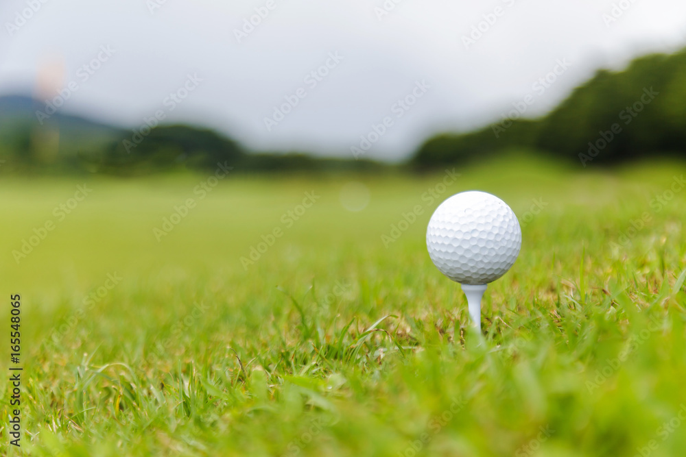 Close up of Golf ball on tee on golf course Close up of Golf ball on tee on golf course