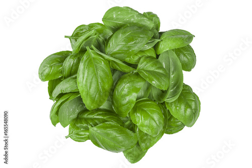ingredient for Caprese salad. Bunch of Basil herb leaves  isolated on white background. Top view