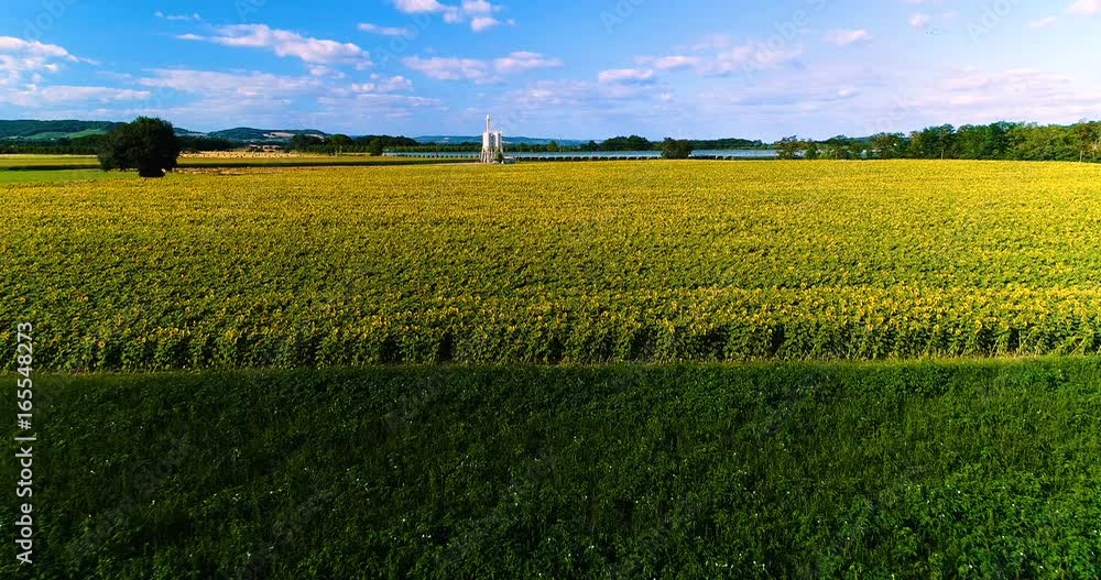 champs en vu aérienne filmés au drone, france champs en vu aérienne filmés au drone, france