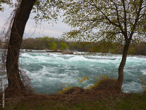 Rapids at Niagara Falls