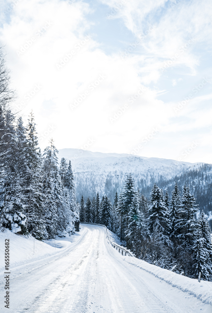 Fototapeta premium Road in Norway