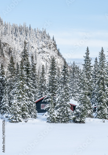 Winter in Norway photo