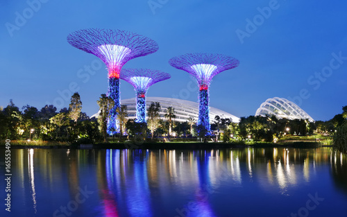 Arbres à Gardens by the Bay, Singapour