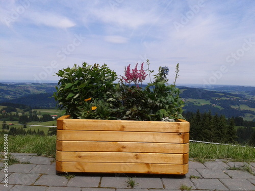 Blumen im Blumenkasten auf einer Hütte im Allgäu Bayern