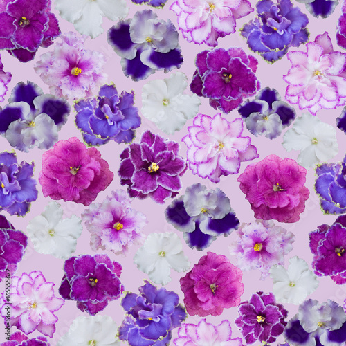 Seamless violets floral pattern