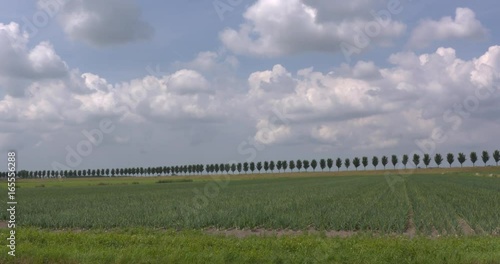 Tree lined dike in Beemster polder, The Netherlands. The Beemsters a unique example of seventeenth century landscape architecture, listed as  UNESCO world heritage. photo