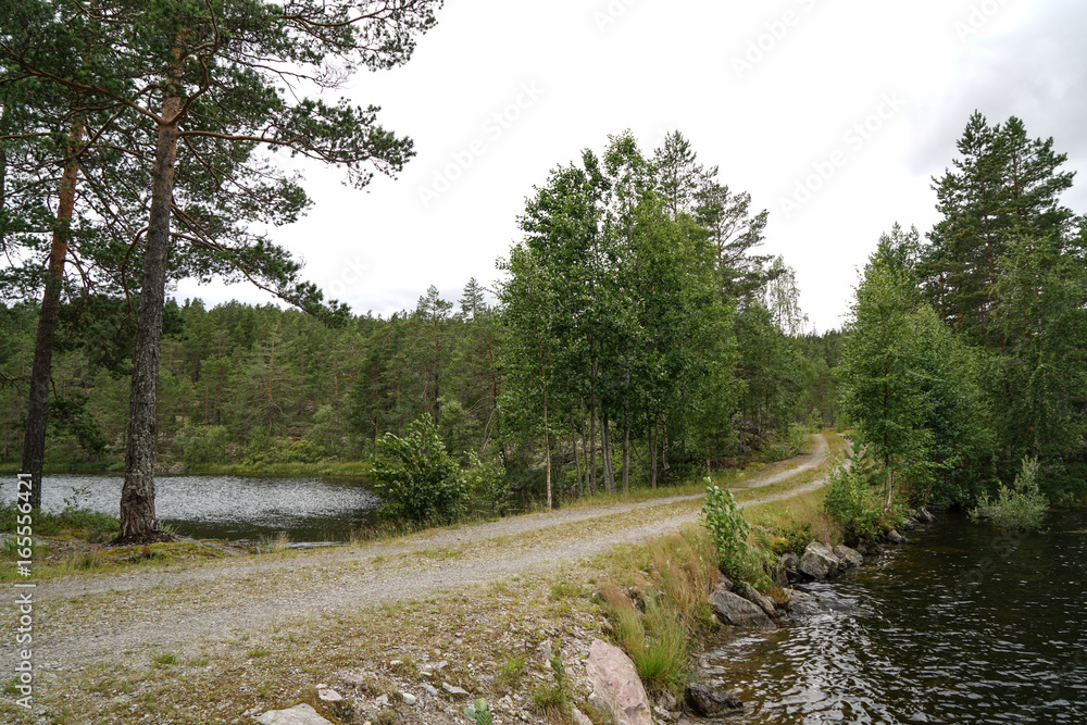 Road in Norway Road in Norway