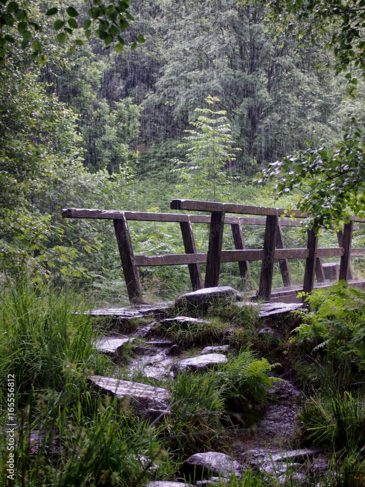 wooden bridge crossing a river in forest with rain and lush green vegetation