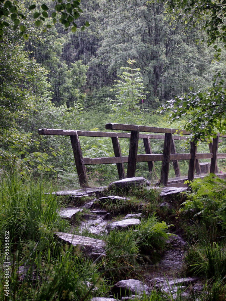 wooden bridge crossing a river in forest with rain and lush green vegetation wooden bridge crossing a river in forest with rain and lush green vegetation