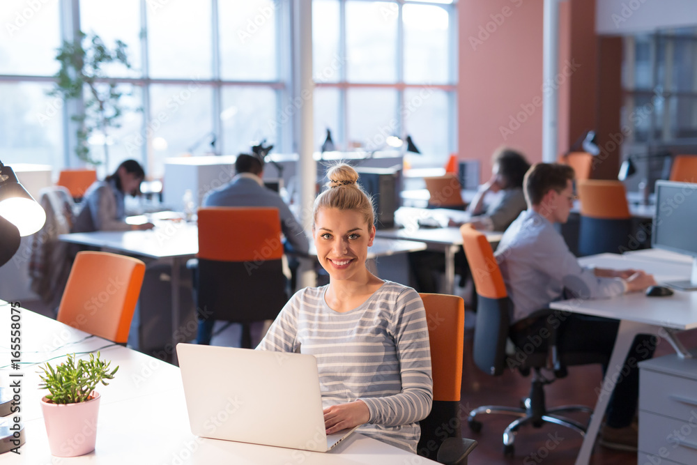 Obraz premium businesswoman using a laptop in startup office