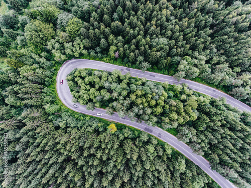 Forest road from above © Calin Stan