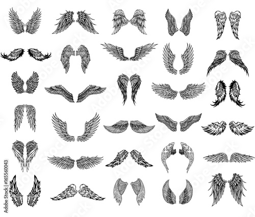 Thirty pairs of wings, graphic illustration