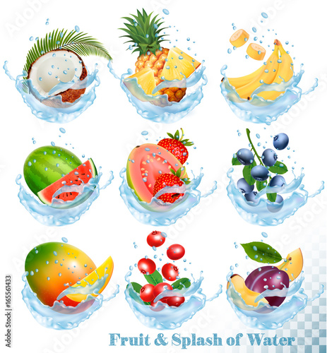 Big collection of fruit in a water splash icons. Pineapple, mango, peach, guava, blueberry, plums, strawberry, granberry, raspberry, blackberry. Vector Set