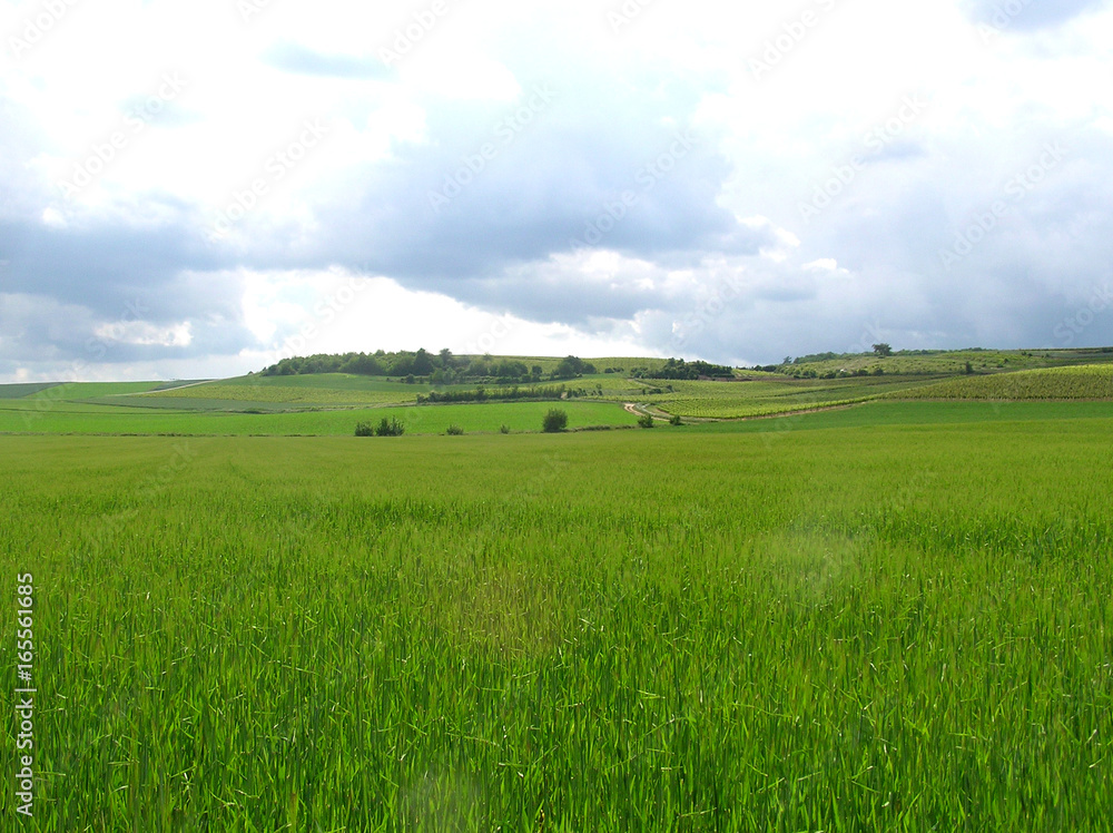 Obraz premium Landschaft