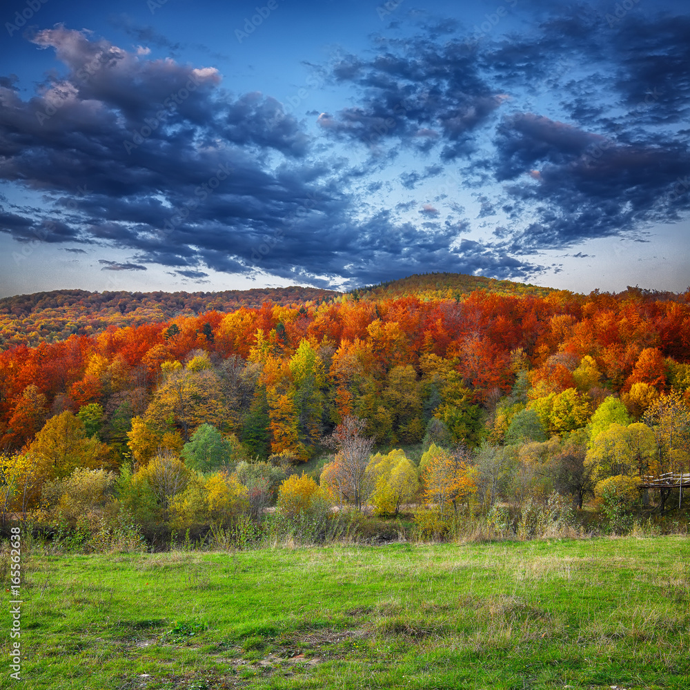 mountain autumn landscape with colorful forest