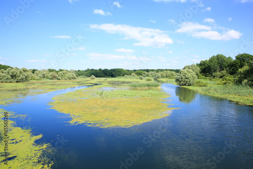 Parc Naturel R  gional de la For  t d Orient in Champagne-Ardenne  Grand Est  France