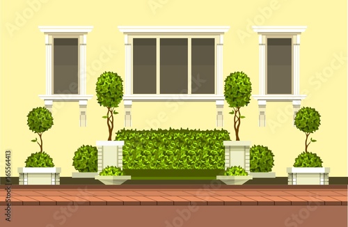 topiary garden plants