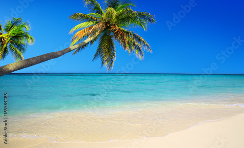 Fototapeta Naklejka Na Ścianę i Meble -  Caribbean sea and palms.
