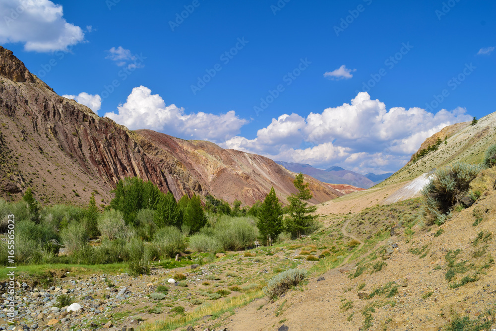 Naklejka premium Landscape of canyon in colorful hills of Altai mountains. Altay Republic, Siberia, Russia.