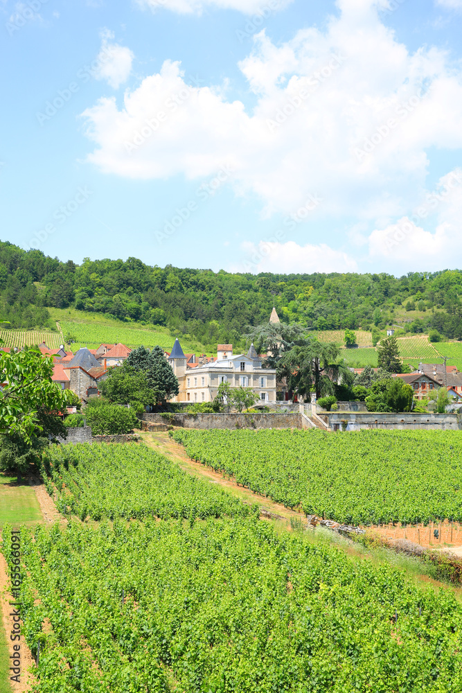 Scenic landscape in Burgundy, Saint-Aubin and the Touristique Route des Grand Crus, France
