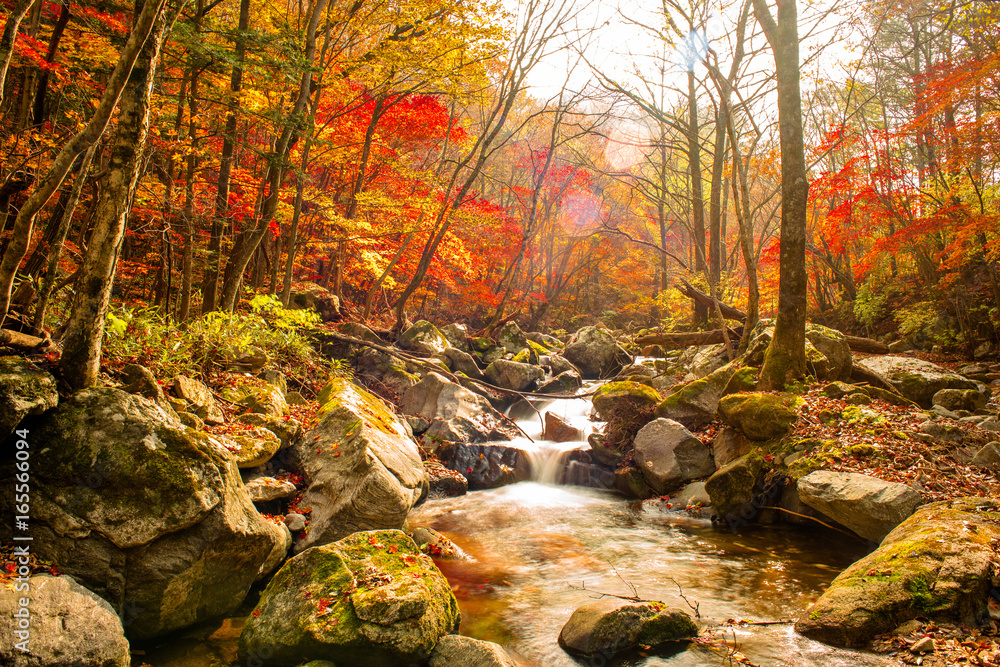Gangwon-do Province, South Korea - Red foliage and Bangtaesan mountain valley. Gangwon-do Province, South Korea - Red foliage and Bangtaesan mountain valley.