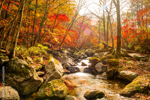 Gangwon-do Province, South Korea - Red foliage and Bangtaesan mountain valley.