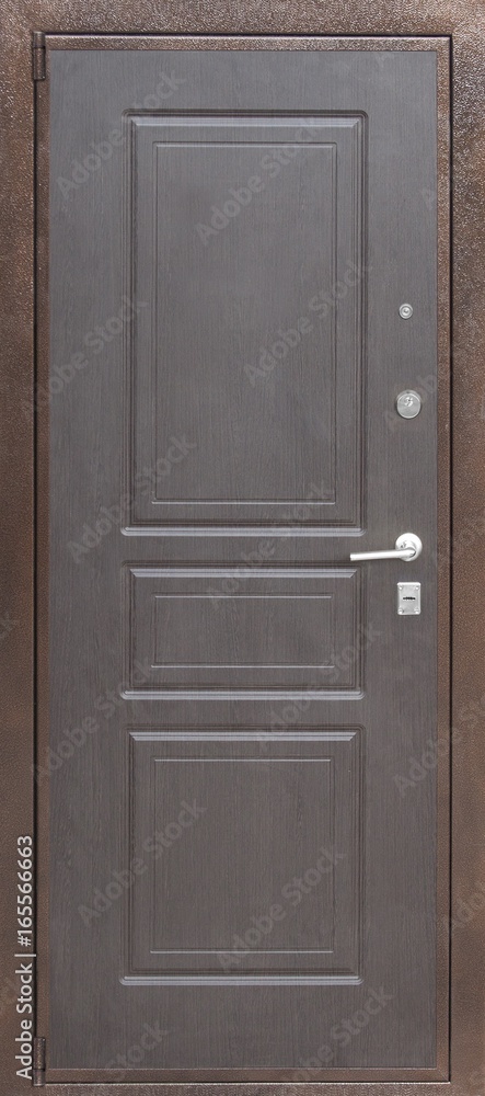 Entrance door (metal door) Entrance door (metal door)