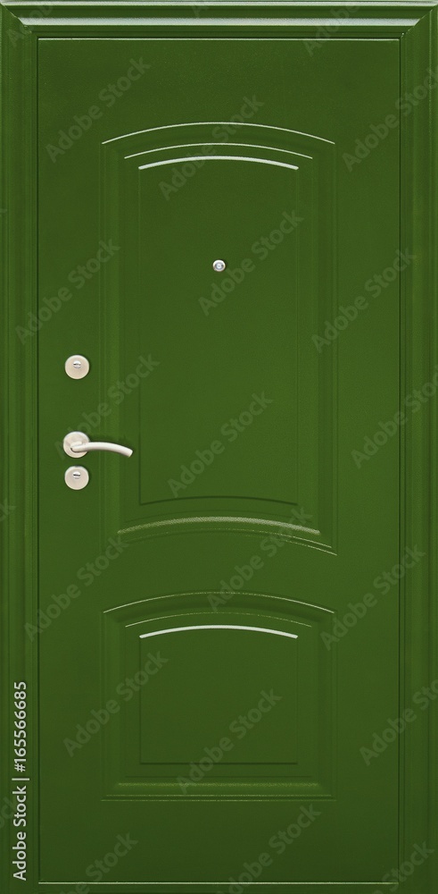 Entrance door (metal door) Entrance door (metal door)