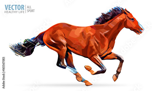 Galloping horse. Arabian horse. Portrait standing against isolated white background. Sorrel, red color horse. Vector illustration.