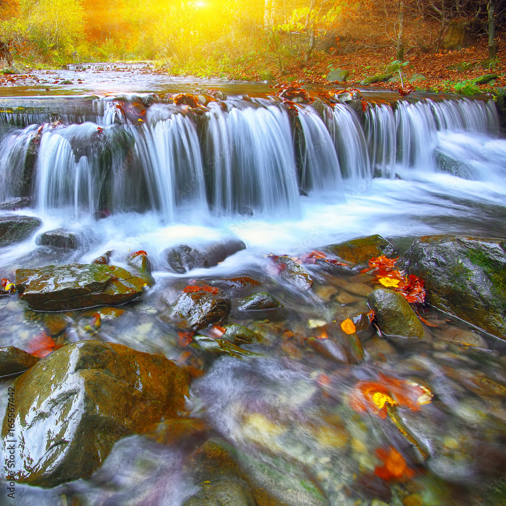 Fototapeta premium Mountain river with rapids and waterfalls at autumn time