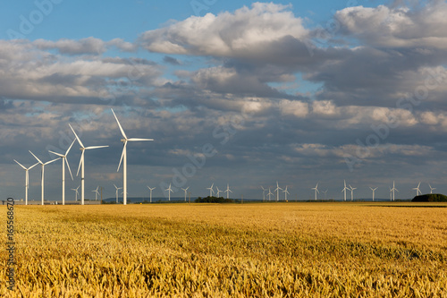 éoliennes, champs de blé photo