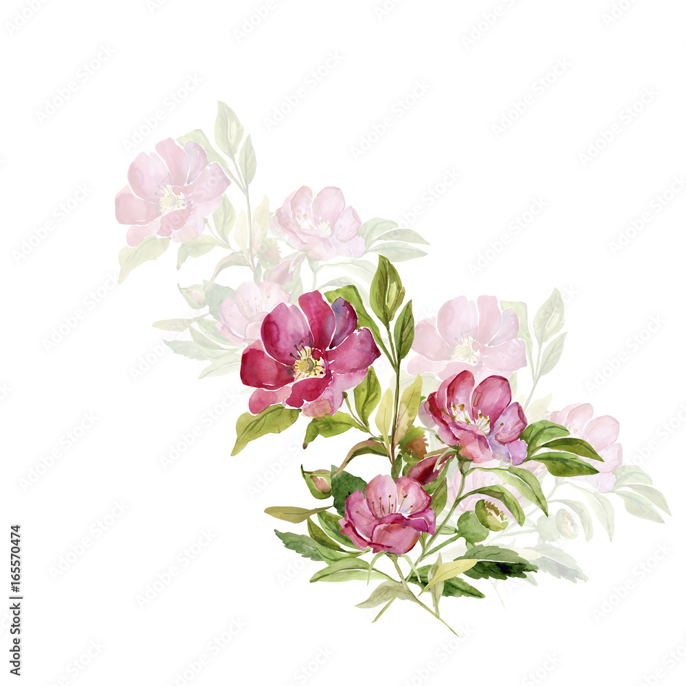 Flowering branch of rose hips
