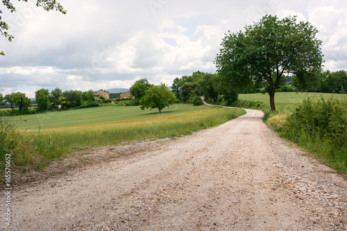 Typical tuscan green landscape
