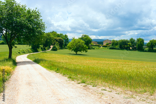 Typical tuscan green landscape