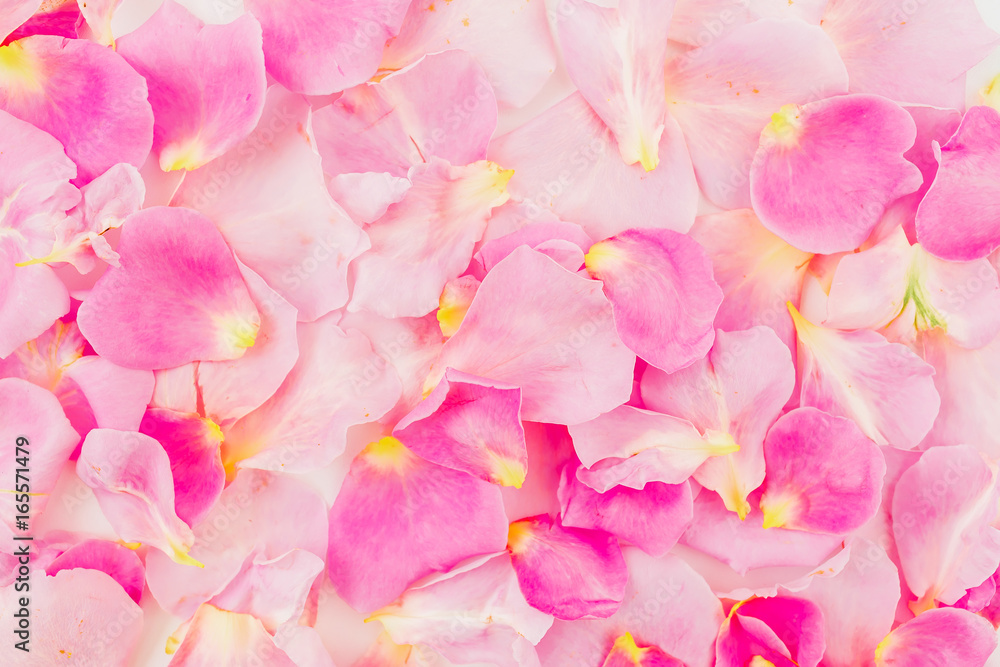 Obraz premium Pink rose petals, Valentine's day background. Pattern of petals. Flat lay, top view