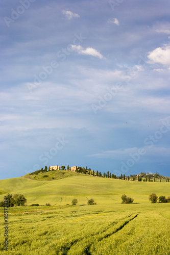Beautiful Tuscany landscape near Siena