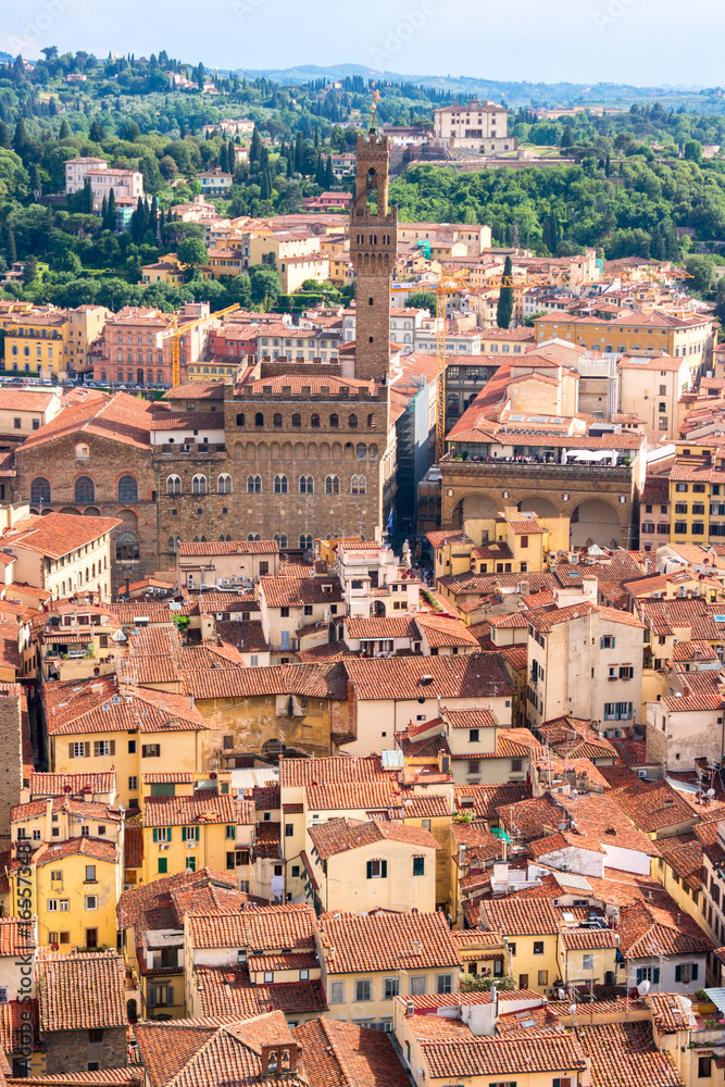 Aerial view of town Florence