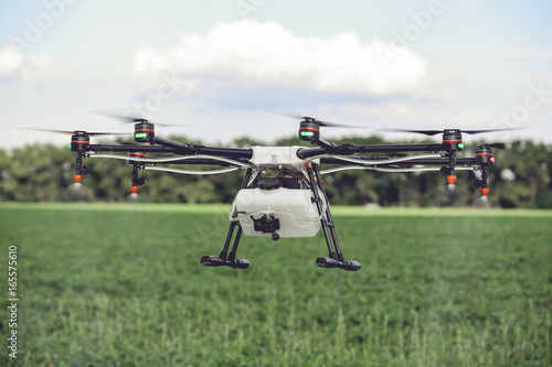 Drones spraying pesticides to grow potatoes. Industrial agriculture and smart farming concept.