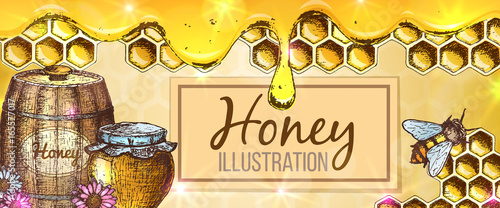 Colorful sketch illustration, honey horizontal banner, organic nature product. Vector