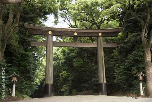 Fényképezés Tori gate and Lamp at Meiji-jingu temple or shrine in japanese style
