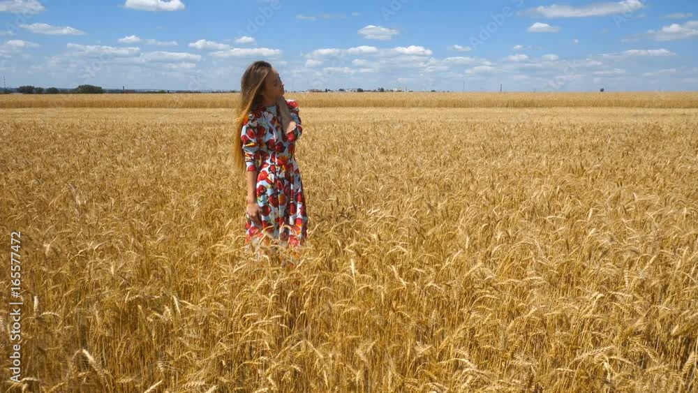 beautiful young girl standing in a field with wheat in a beautiful dress beautiful young girl standing in a field with wheat in a beautiful dress
