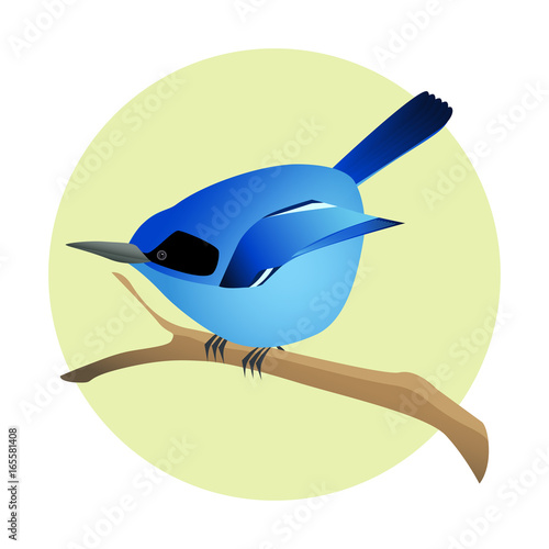 Colorful blue bird on a branch, side profile. Exotic fauna.