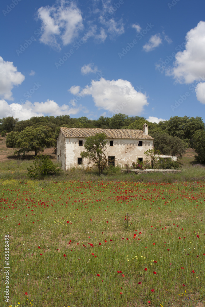 Obraz premium Derelict house ,Andalucia Spain