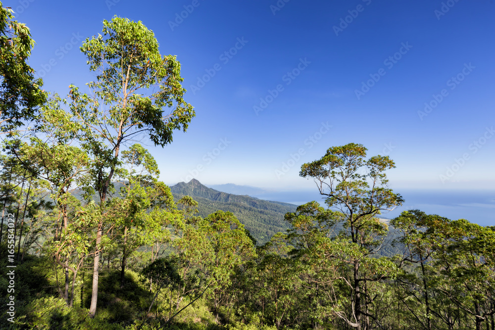 Obraz premium Morning view of towards the city of Maumere on the side of the stratovolcano, Mount Egon.