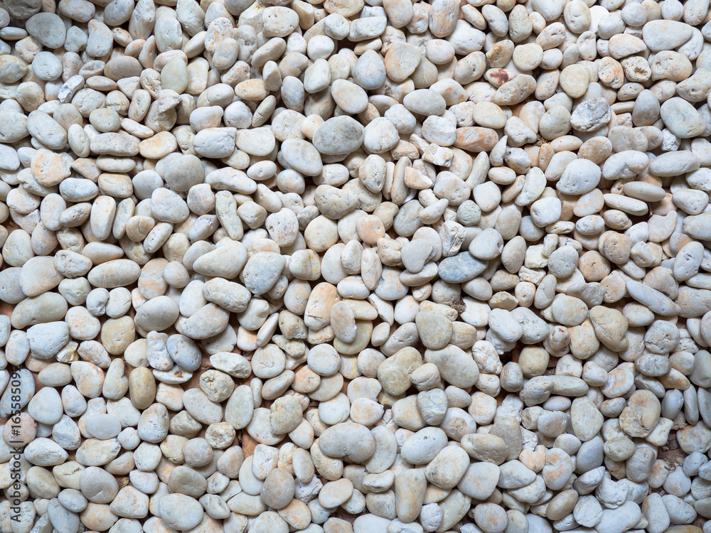 Ground Rocks texture background Ground Rocks texture background