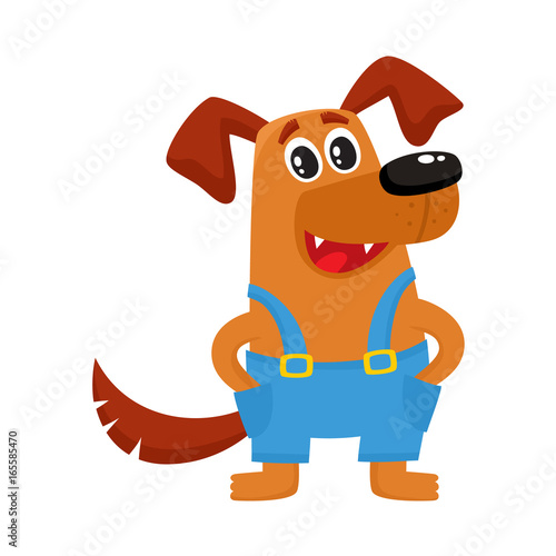 Cute brown funny dog, puppy character in blue overalls, cartoon vector illustration isolated on white background. Funny dog, puppy character in overalls standing paws in pockets
